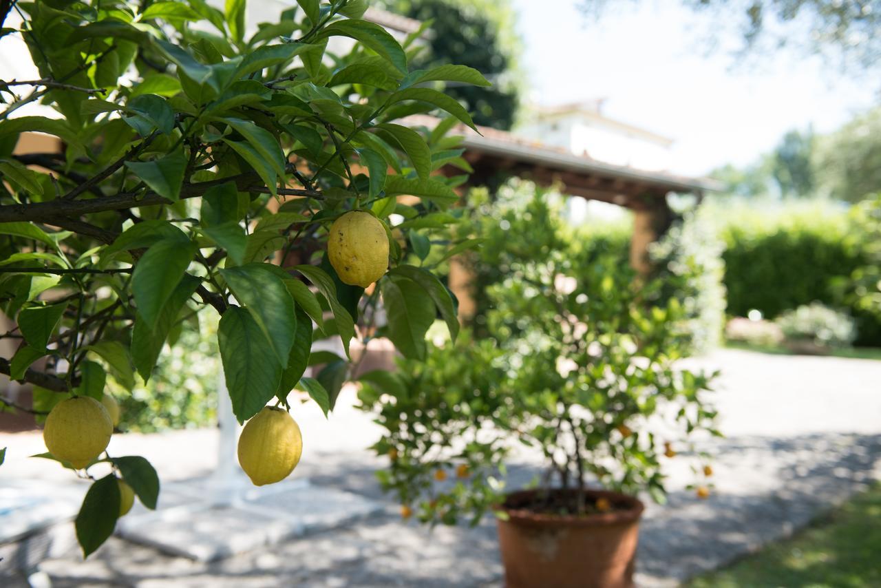 Le Tre Querce B&B Romano D'Ezzelino Extérieur photo